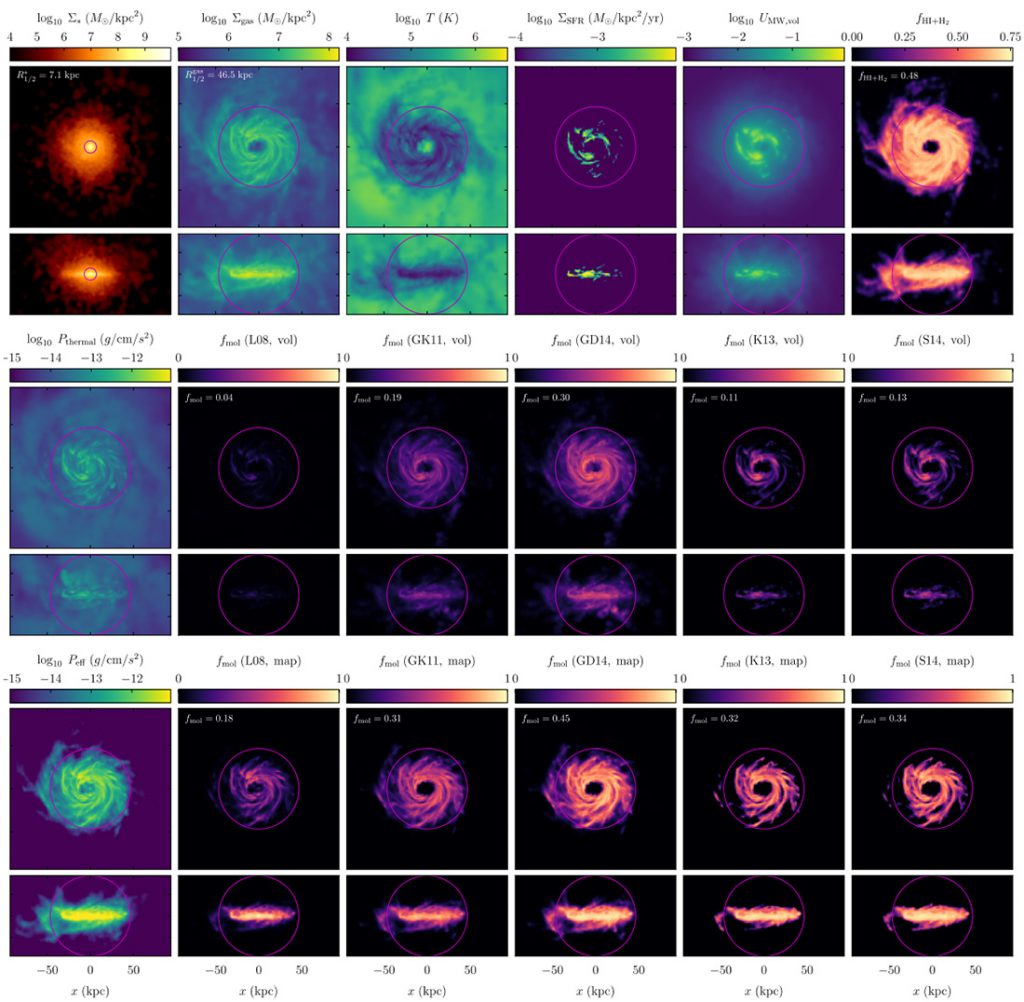 HI And H2 In Simulated Galaxies Benedikt Diemer